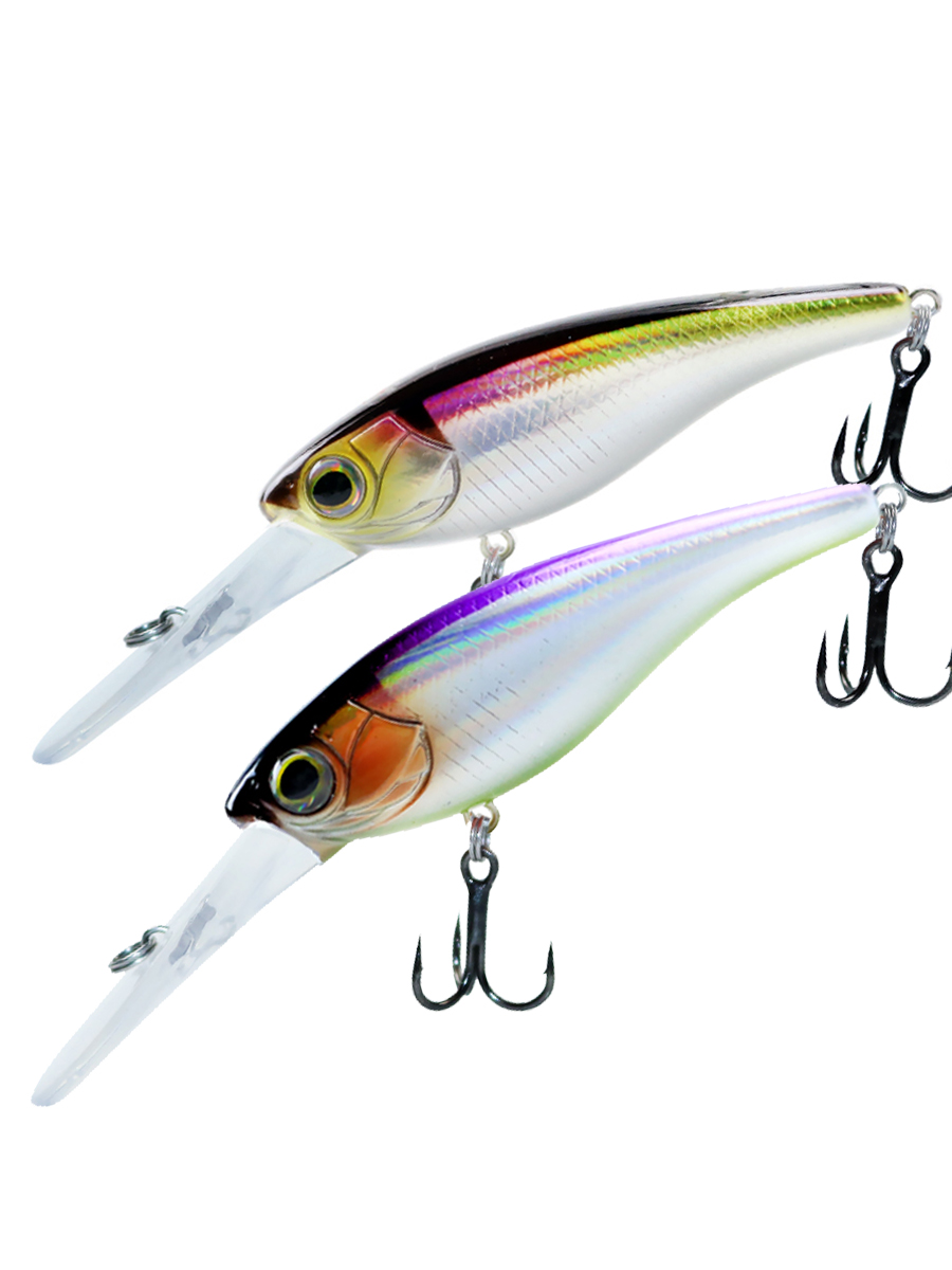 Suspending Minnow Fishing Lure - Fishing Lure Jerkbait 리뷰 및 가격