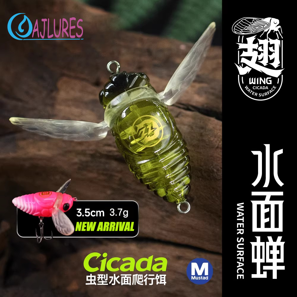 Cicada Topwater Fishing Lure 3 - Fishing Lure Popper 리뷰 및 가격