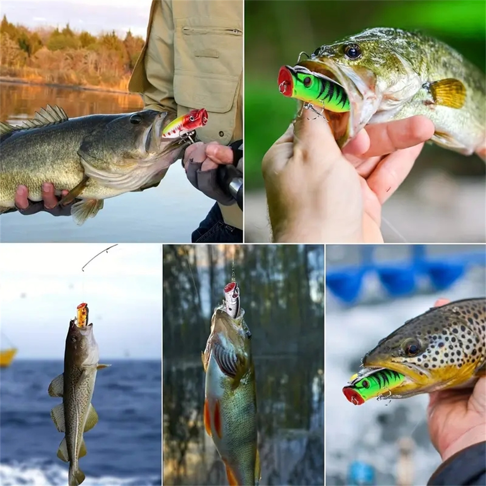5Pcs Popper Fishing Lures 3d E - Fishing Lure Popper 리뷰 및 가격
