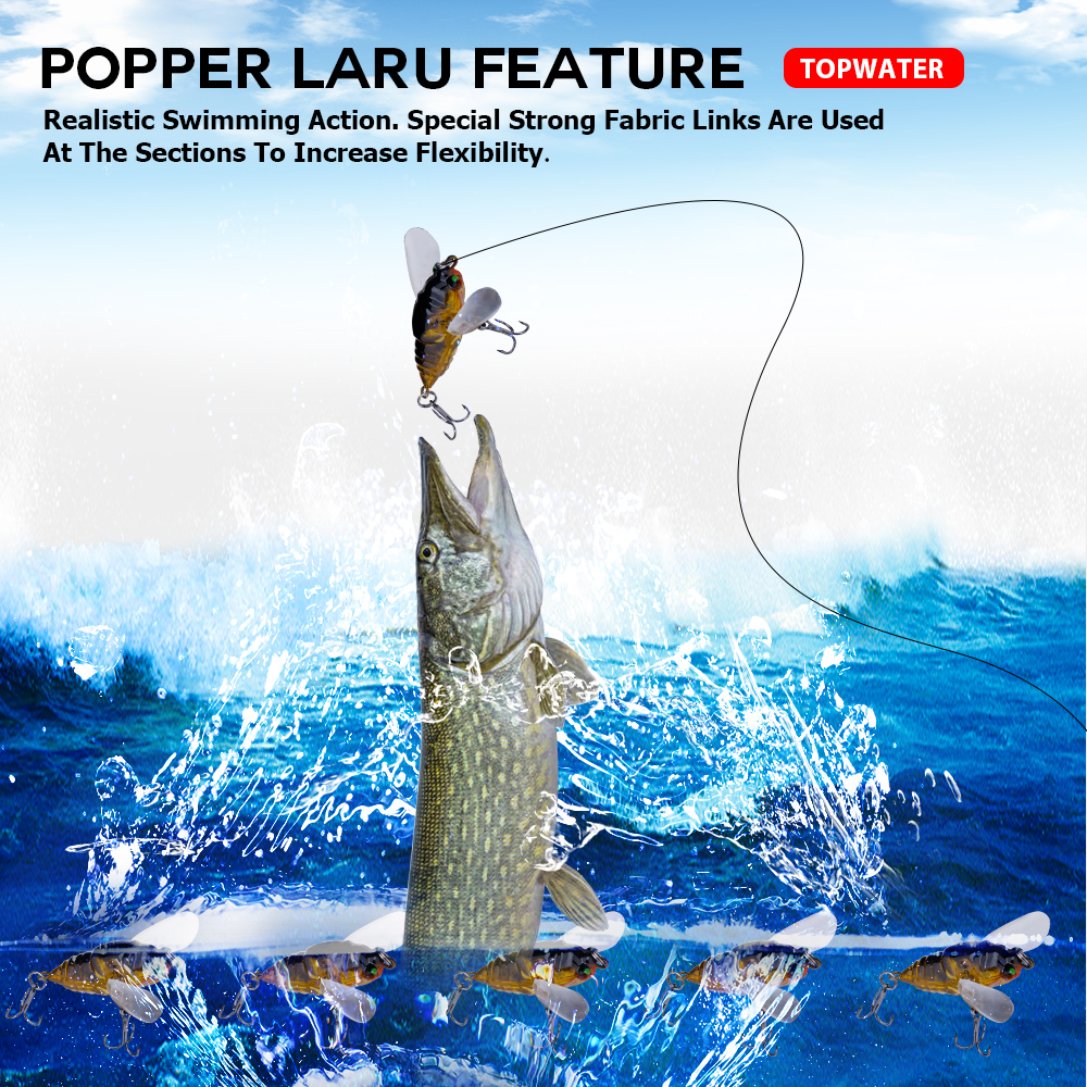Agoie 6.5g 5cm Topwater Popper - Fishing Lure Popper 리뷰 및 가격