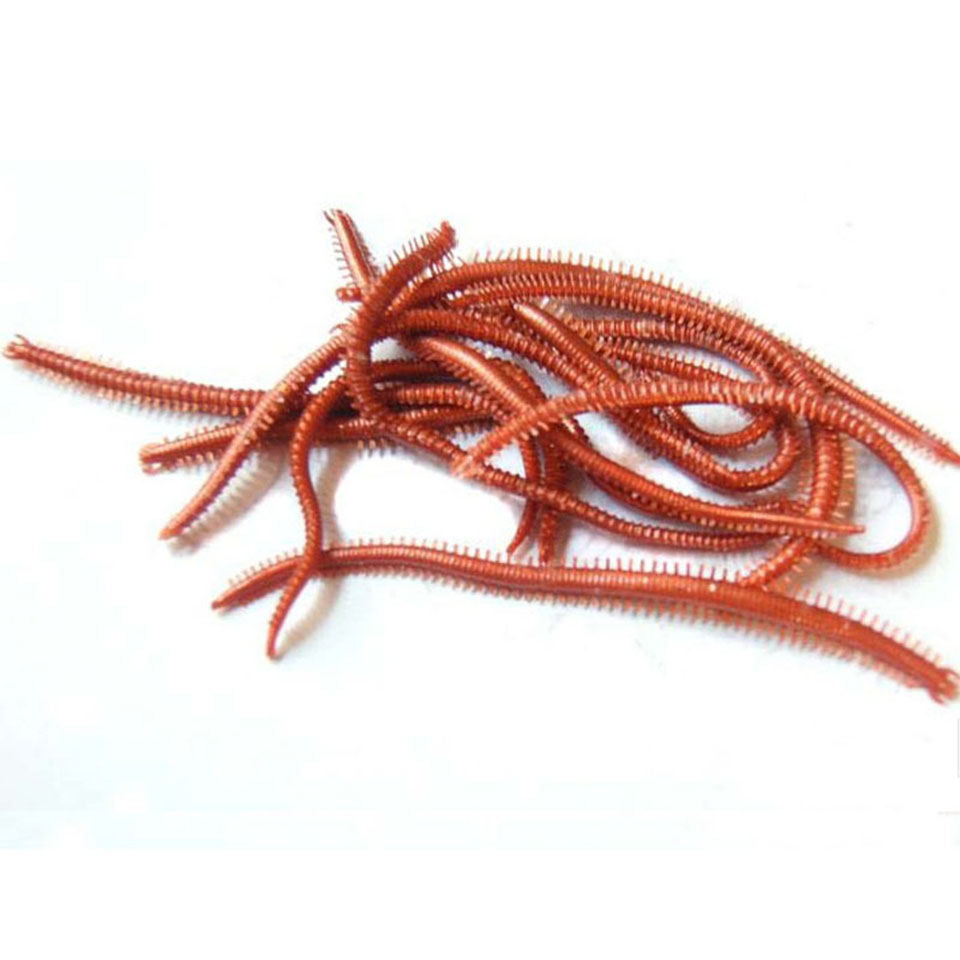 10PCS/Lot Artificial Sea Worms - Fishing Lure Soft Plastic 리뷰 및 가격