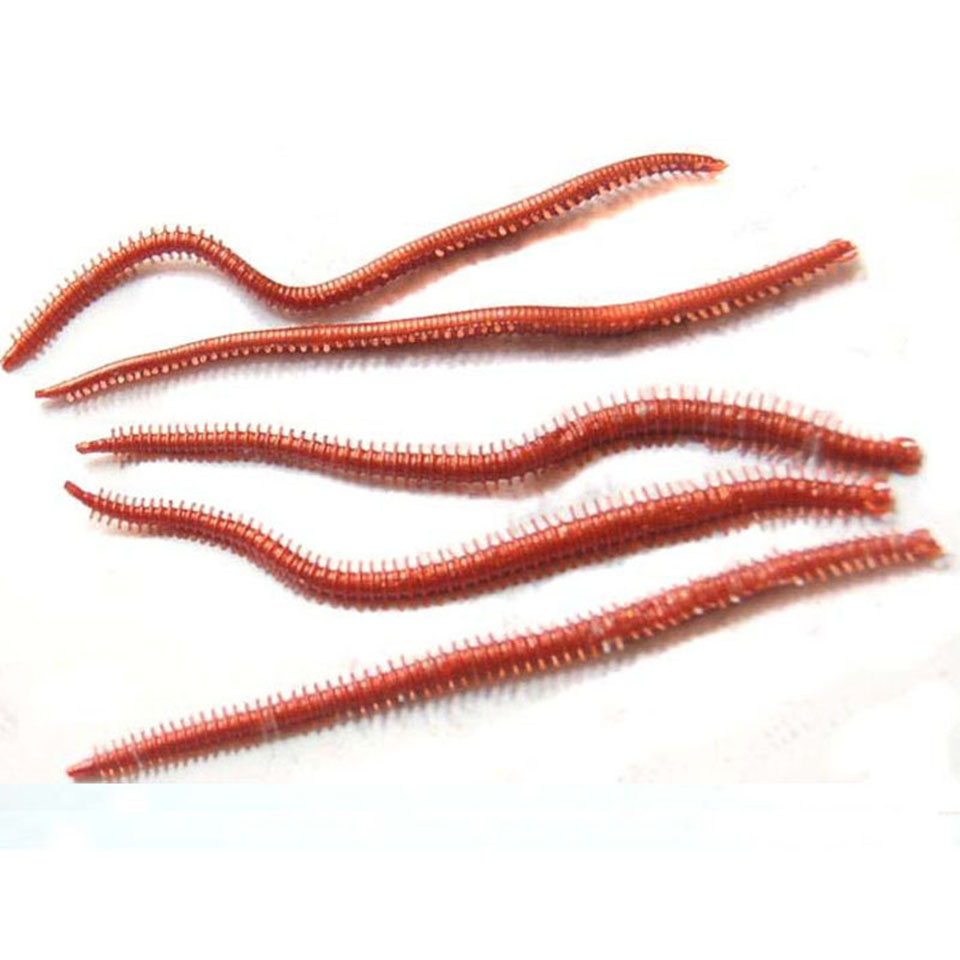 10PCS/Lot Artificial Sea Worms - Fishing Lure Soft Plastic 리뷰 및 가격