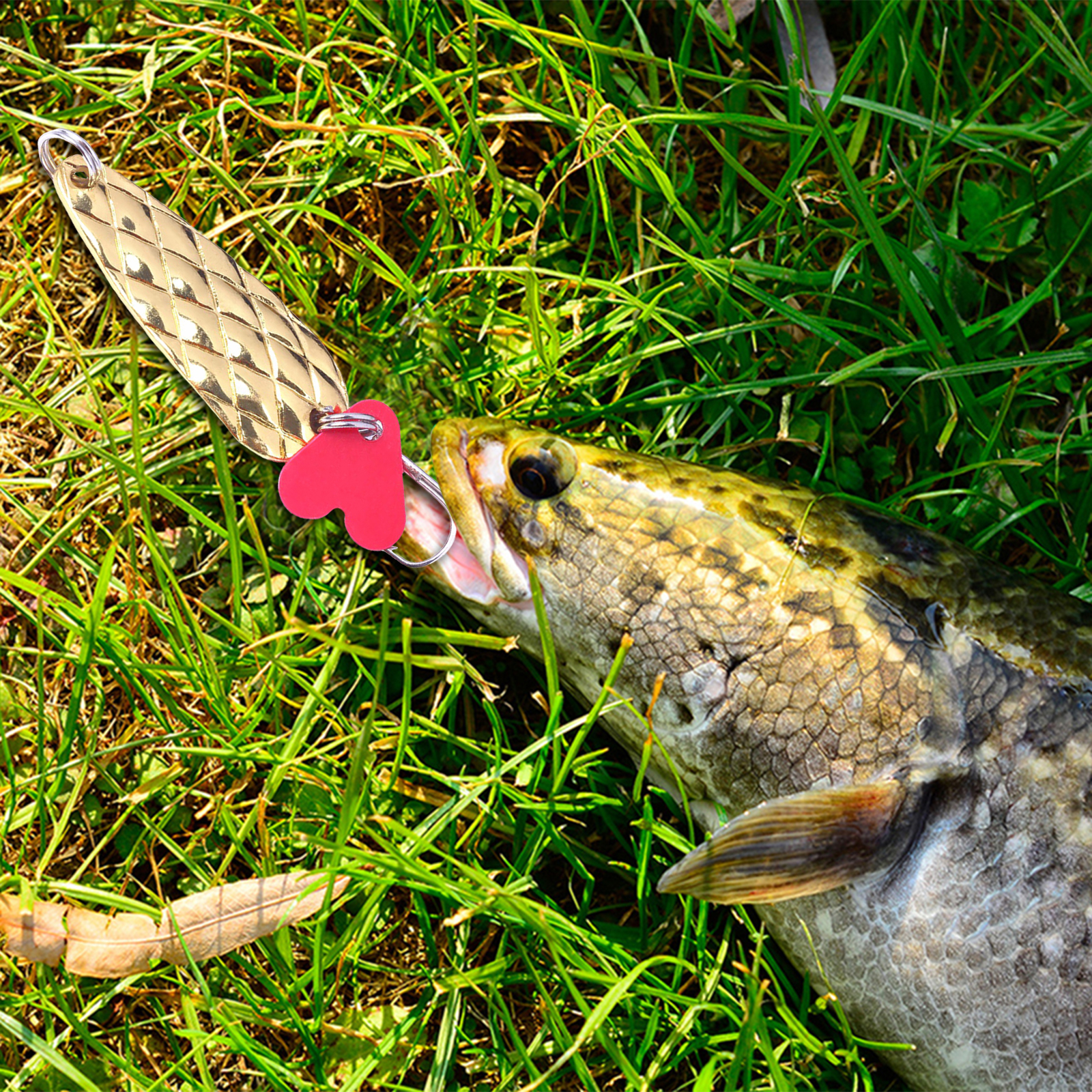 Metal Spoons Fishing Lures 9g  - Fishing Lure Spoon 리뷰 및 가격
