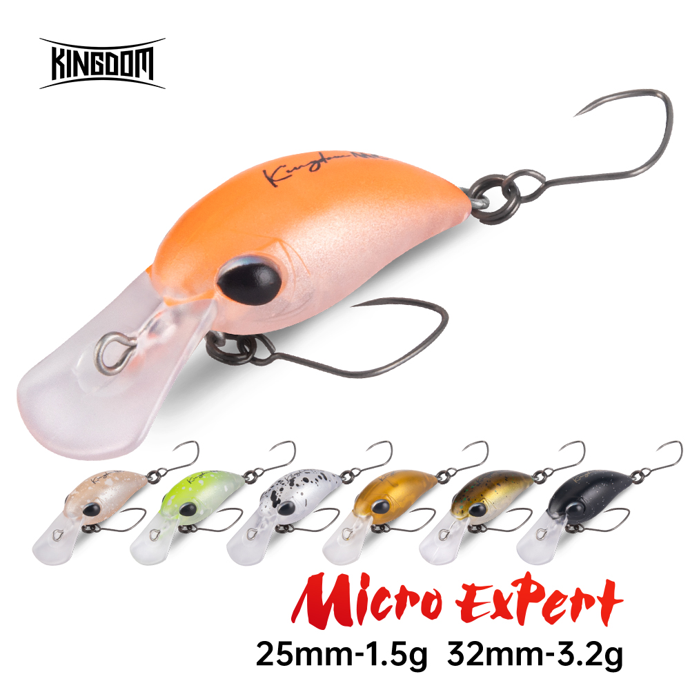 Kingdom Fishing Lure Micro Exp - Fishing Lure Topwater 리뷰 및 가격