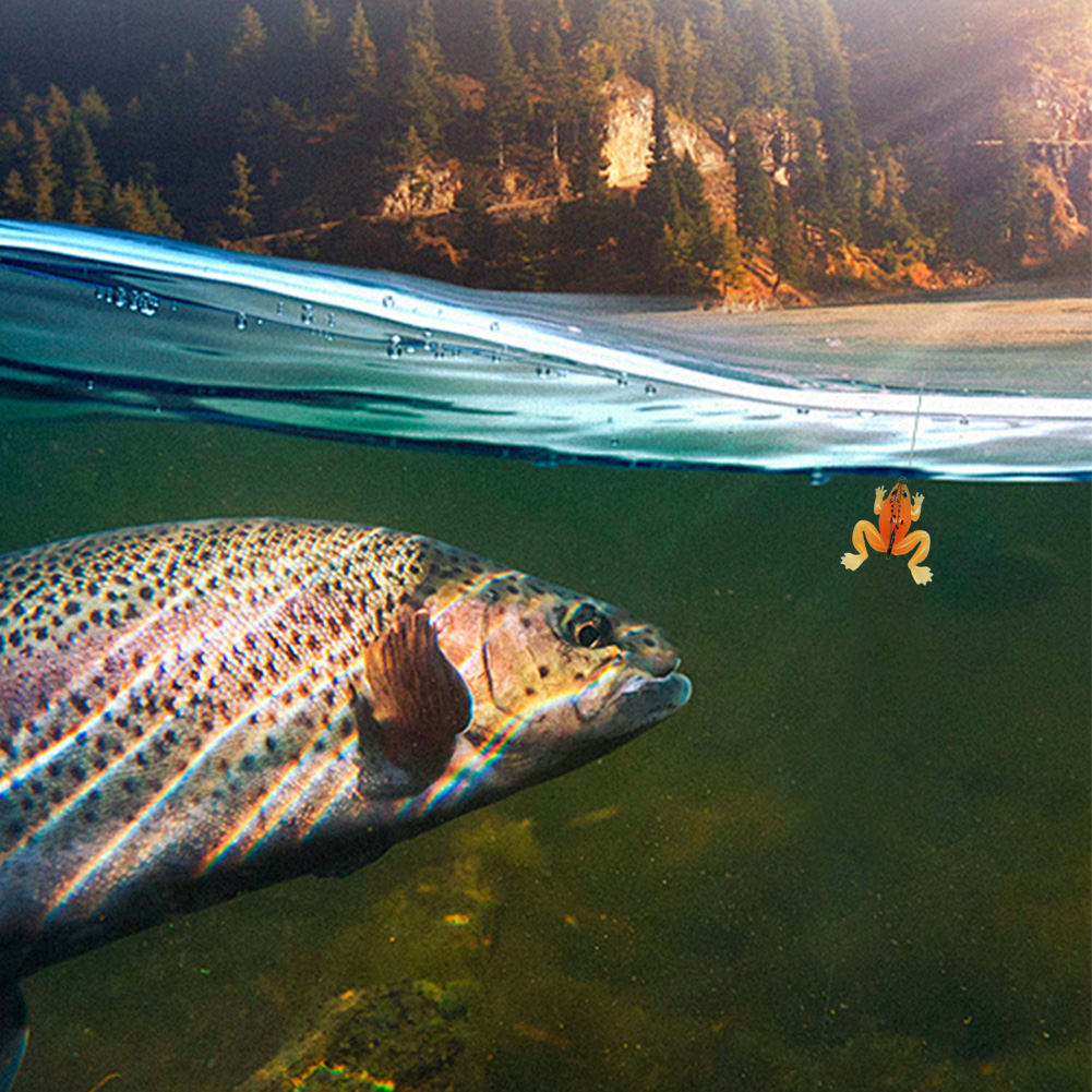 Frog Lure Silicone Bait with A - Fishing Lure Topwater 리뷰 및 가격