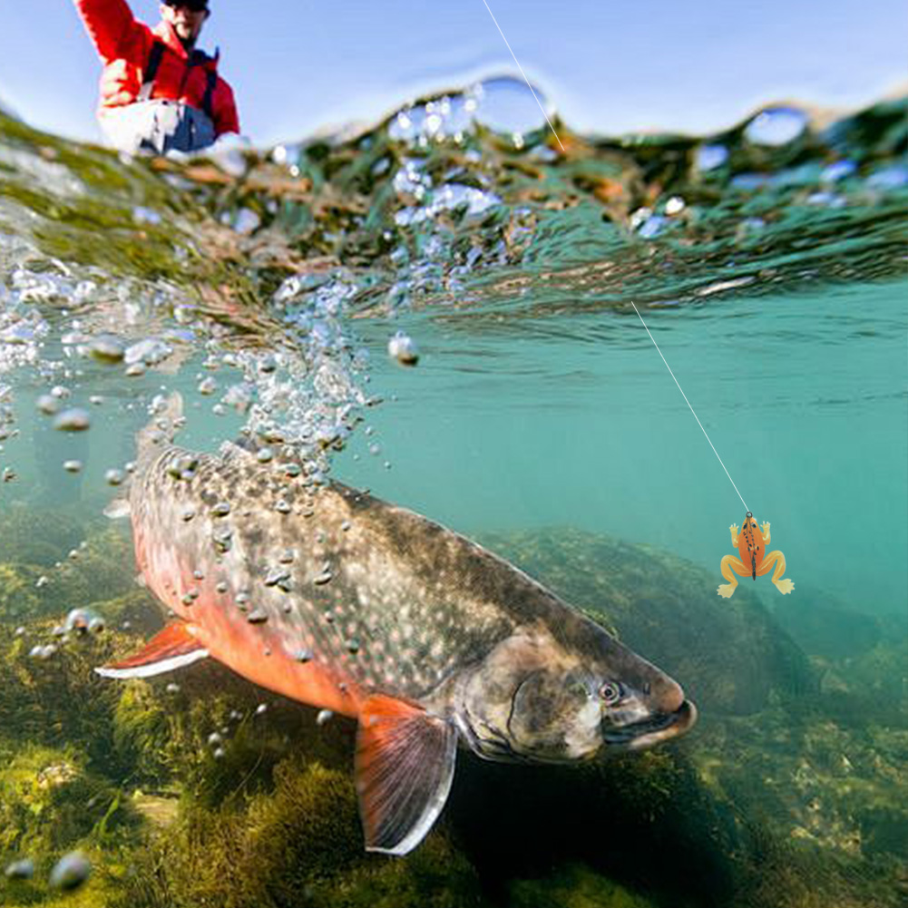 Frog Lure Silicone Bait with A - Fishing Lure Topwater 리뷰 및 가격